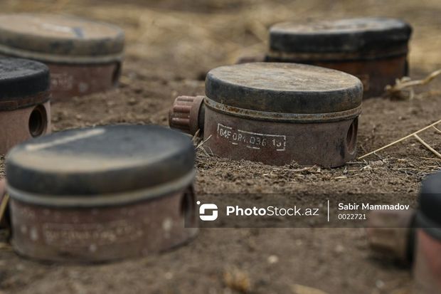 Britaniya azərbaycanlı minatəmizləyənlərə təlim keçəcək   FOTO