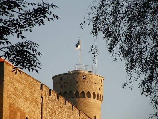 Estoniyanın baş naziri ölkədəki ukraynalı qaçqınları eston dilini öyrənməyə çağırıb   