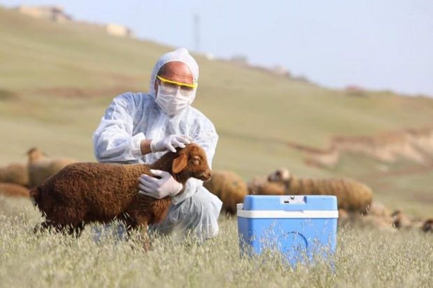 AQTA və Kənd Təsərrüfatı Nazirliyinə yeni səlahiyyət verildi   