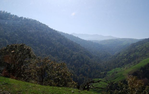 Məcburi köçkünlərin doğma yurdlarına qayıtması necə müəyyənləşdiriləcək?   RƏSMİ