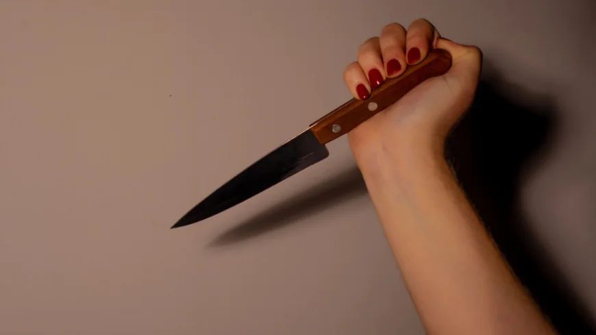 Bloger "TikTok"-un canlı yayımında bir nəfəri bıçaqladı -