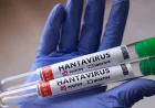 Hantavirus Azərbaycanda yayılıb? –