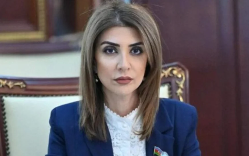 "Uşaqpulunun verilməsi valideynlərdə tənbəllik yara bilər" - Millət vəkili danışdı -
