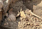 Ağdamda qazıntı zamanı insan skeletinə bənzər qalıqlar tapılıb