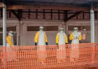Konqoda Ebola qurbanlarının sayı 900-ə çatdı