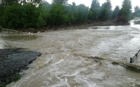 Balakən sakinini sel apardı
