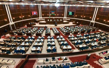 Bu şəxslər məcburi psixiatriya müayinəsindən keçəcəklər
