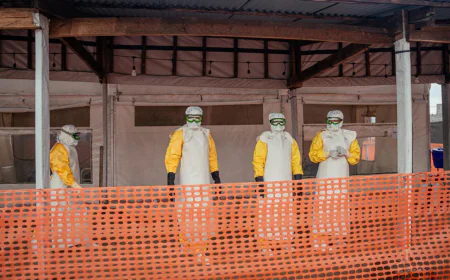Konqoda Ebola qurbanlarının sayı 900-ə çatdı