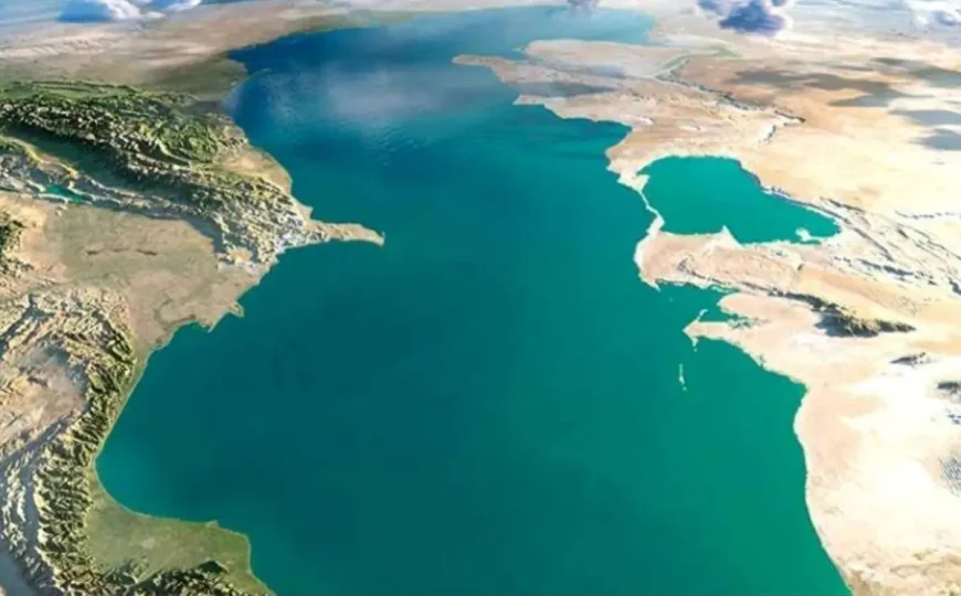Ekoloq Xəzərlə bağlı çoxlarını narahat edən suala aydınlıq gətirdi