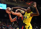 Elena Delle Donne: Basketbolu atdı, bir il sonra qayıtdı və Şöhrət Zalına düşdü