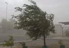 Küləkli hava ilə bağlı iki nəfər xəsarət alıb