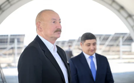 İlham Əliyev: Günəş enerjisi istehsalı üçün ən əlverişli ərazi Naxçıvandır