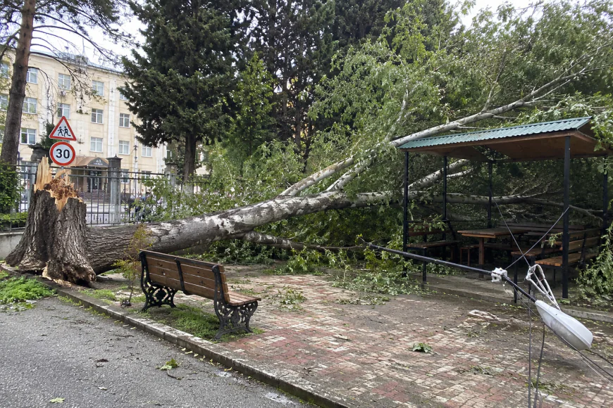 Mingəçevirdə iri qovaq ağacı qoparaq istirahət məkanına düşdü – ELEKTRİK XƏTTİ ZƏDƏLƏNDİ