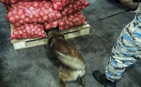 İrandan Rusiyaya gedən soğan yükündən narkotik çıxdı: 25,5 kiloqram marixuana-