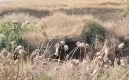 Xocavənddə yeni tarixi abidə aşkar edildi