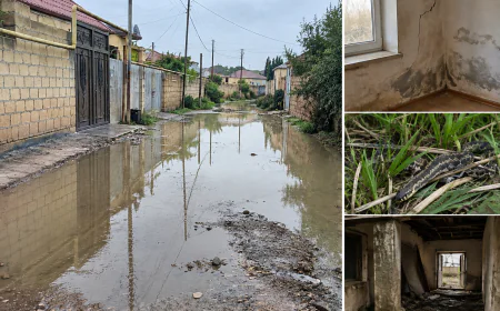Suraxanıda sakinlərin həyatı çətinləşib: Evlər su altında qalır, əraziyə ilan və həşəratlar gəlir
