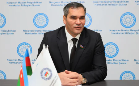 Mülkləri ilə gündəm olan məmur -