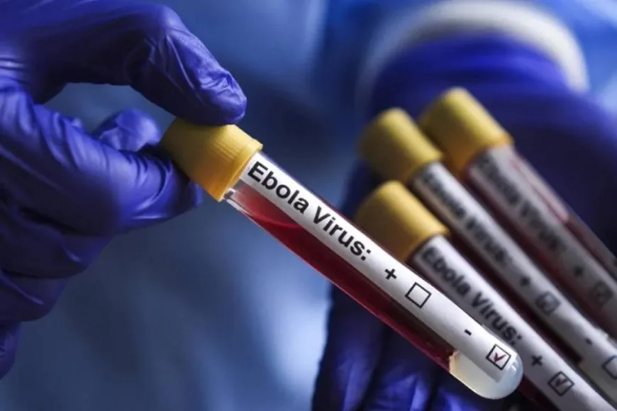 Ebola sürətlə yayılır: