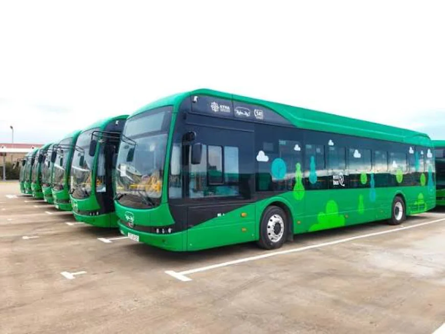 Avtobuslarda və dayanacaqlarda sıxlıq niyə yaranır? –