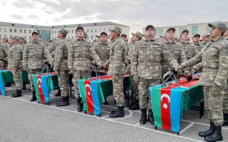 Əsgərliyə çağırış sisteminin dəyişdirilməsi