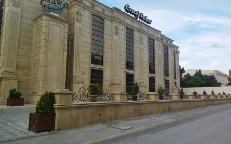 Qonaqlara süni kürü təbii adı ilə təqdim edilib: “Çıraq Palace”la bağlı qərar verildi-