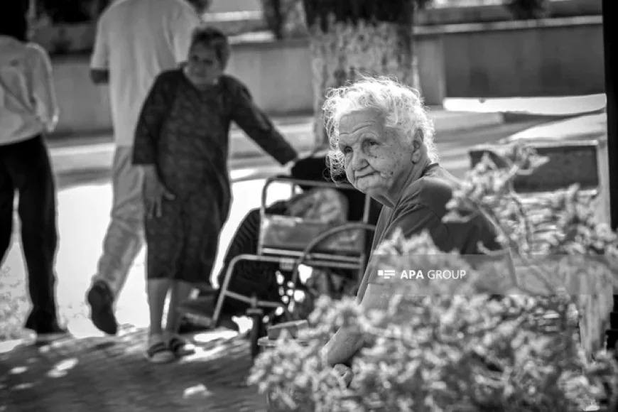 Keçmiş deputat ahıllar evinə necə yerləşdirilib? -